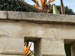 137-29-12-2025 IMG_3320